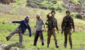 مستوطنون إصابة سيدة فلسطينية في اعتداء للمستوطنين شمال الخليل