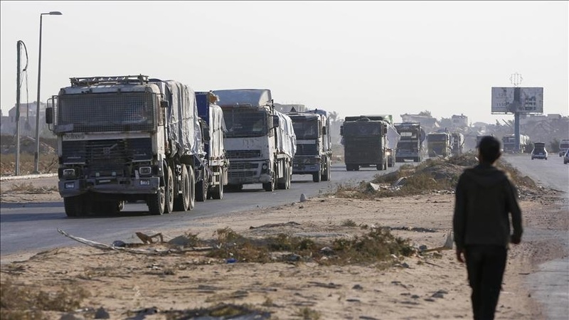 مدير “حكومي غزة”: العدو الإسرائيلي يدخل 200 شاحنة مساعدات بدلا من 600 متفق عليها