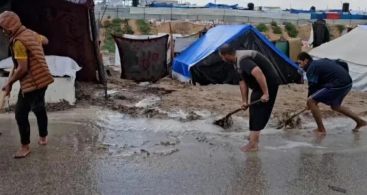 شبكة المنظمات تطالب بإدخال المساعدات الإنسانية لغزة فورا