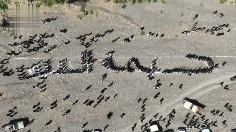 لقاء قبلي مسلح في الحيمة الداخلية وفاءً لدماء الشهداء وإعلانًا للجهوزية