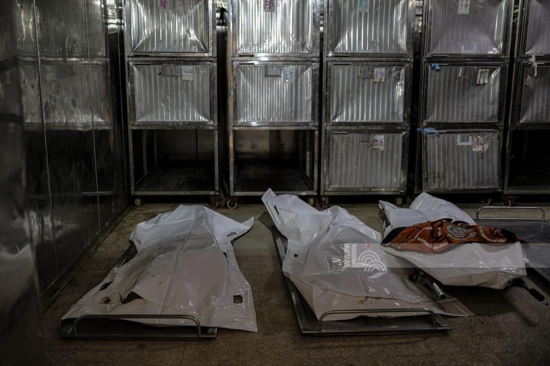 استشهاد فلسطينيَين بنيران العدو الإسرائيلي في غزة