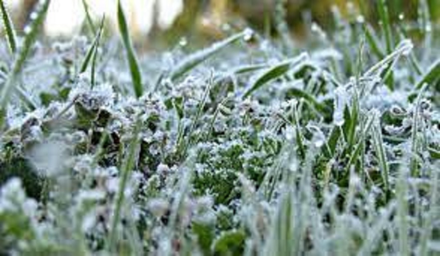 الفلكي الشوافي يوجه رسالة تحذير للمزارعين