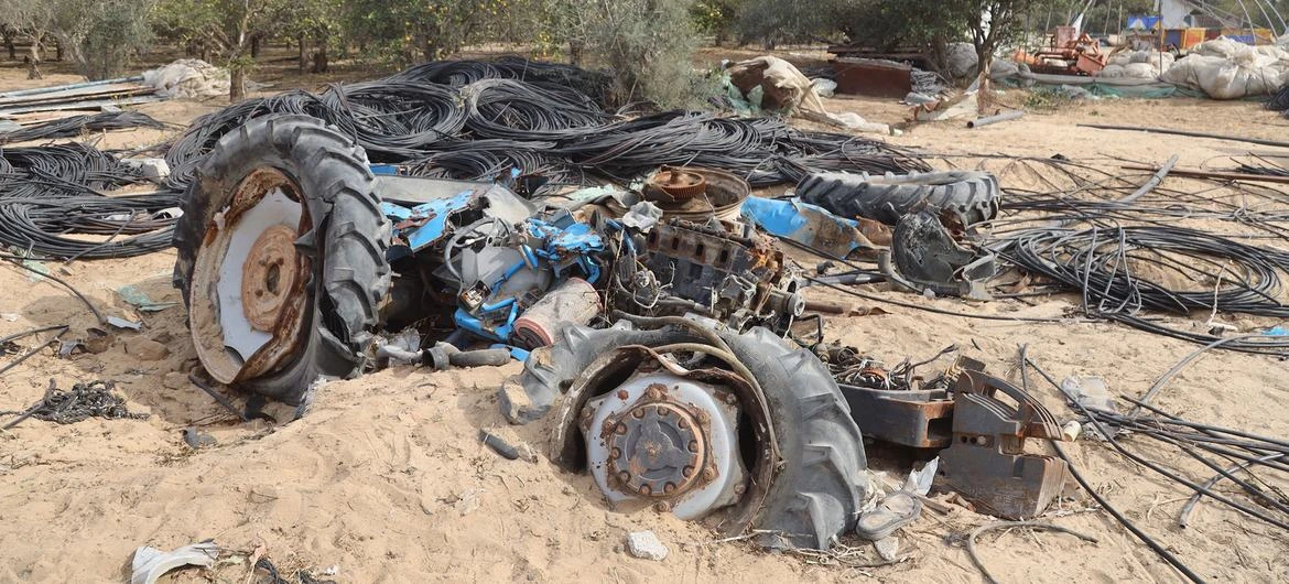 برنامج الأغذية العالمي: مزارعو غزة يصارعون لإعادة بناء حياتهم وسط دمار طال 87% من الأراضي الزراعية