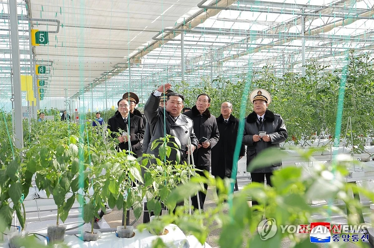 الزعيم الكوري الشمالي يفتتح مجمعا مشتركا من البيوت الزراعية