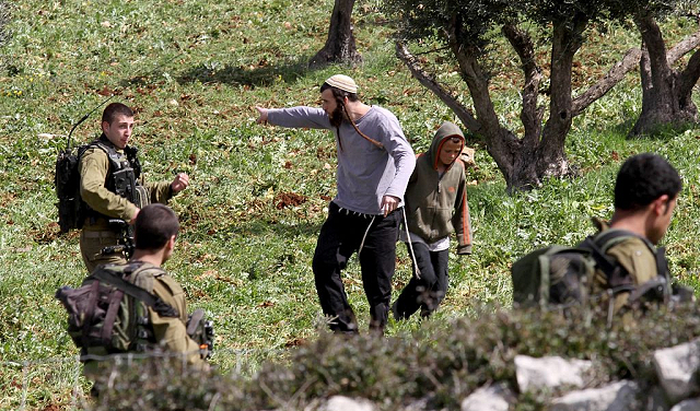 مستوطنون صهاينة يعتدون على أراضٍ وممتلكات فلسطينية في الخليل وطوباس