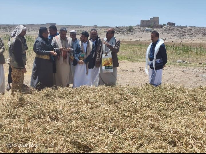 وكيل الزراعة يزور مزارع الفاصوليا بذمار ويؤكد أهمية تعزيز الإنتاج الزراعي