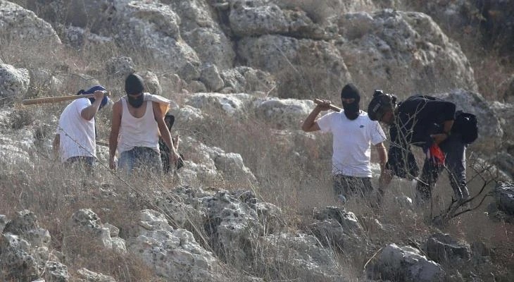 إصابة عدد من الفلسطينيين في هجوم للمستوطنين جنوب الخليل