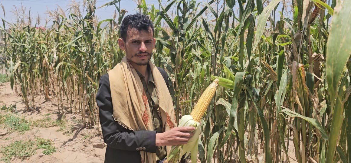 ذمار .. جمعية جبل الشرق تعزز مسار الاكتفاء الذاتي بإنتاج 1180 طنا من المحاصيل