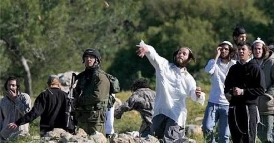 مستوطنون صهاينة يواصلون اعتداءاتهم ضد الفلسطينيين وممتلكاتهم في مناطق متفرقة من الضفة