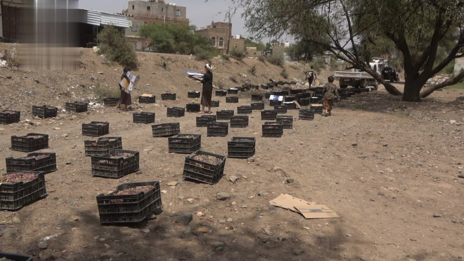 مديرية بني حشيش تسيّر قافلة العنب الثامنة دعمًا للمرابطين في الجبهات