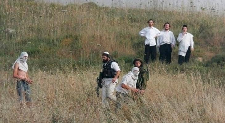 21 اعتداءً صهيونيًا على قاطفي الزيتون وأراضيهم في الضفة الغربية